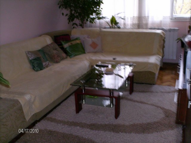 65388-Picture 284.jpg, 454 KB